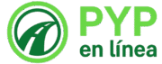 campana google ads pico y placa 4 e1752763250722 768x335